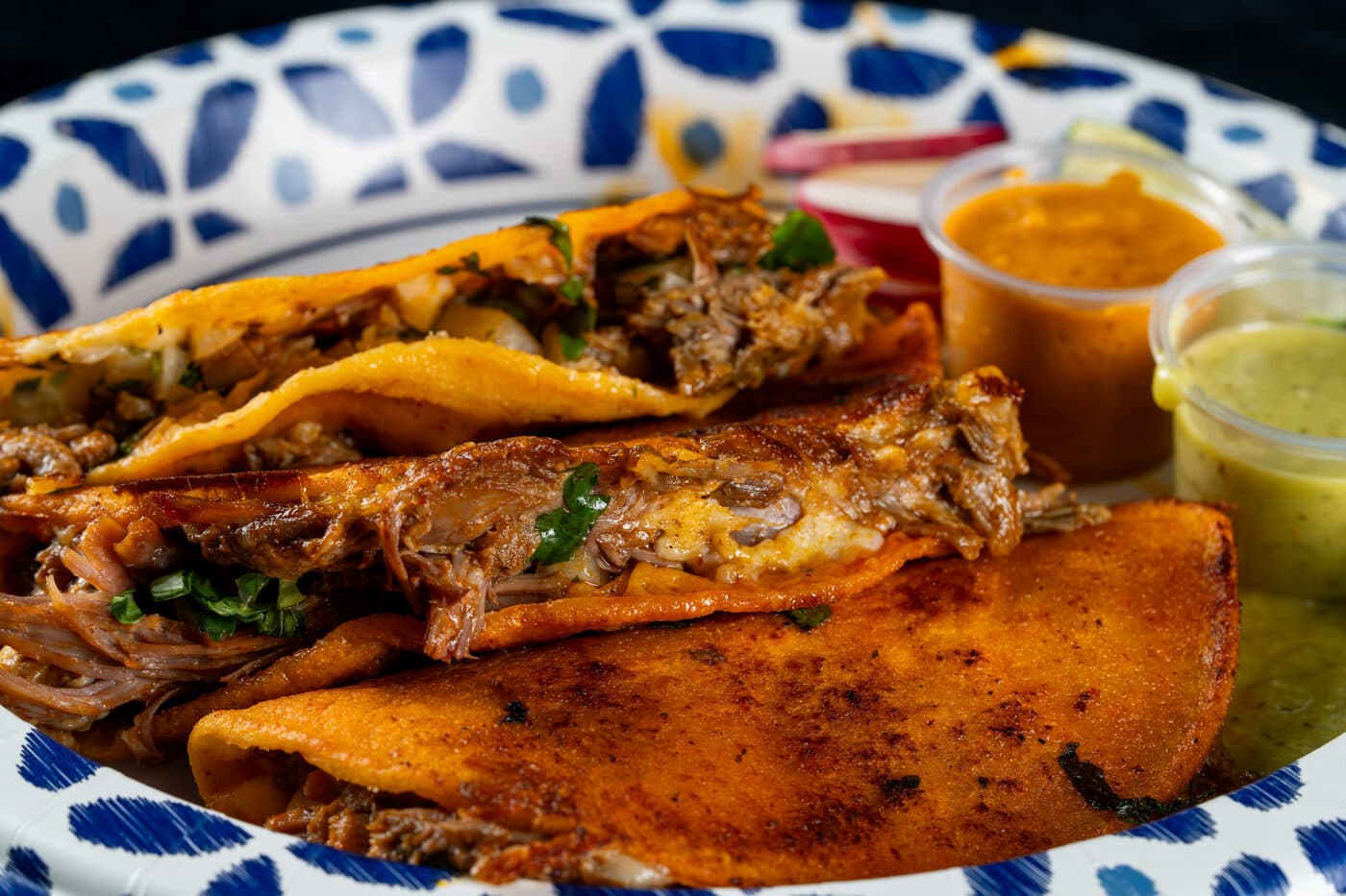 Birria Quesotacos